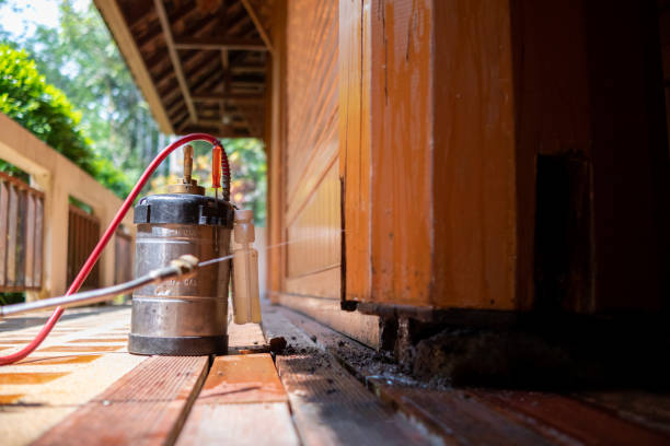 Best Affordable Pest Control Services  in Bethel, OH